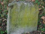 image of grave number 196820